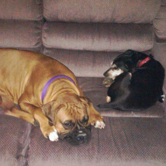 Meet your Posher, Michelle - Picture 1 of 1